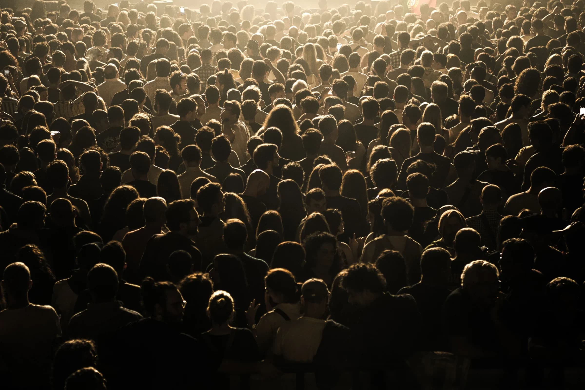 The Most Expensive Word in Your Boardroom Is "Everyone"